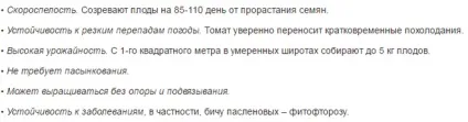 Насіння томату діброва