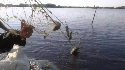 Мережі для лову риби