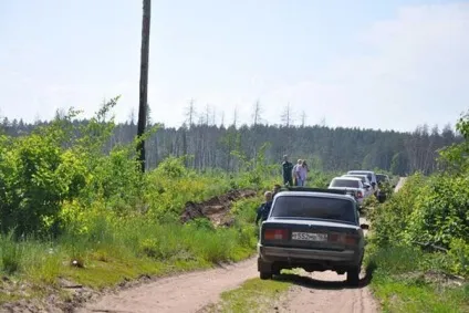 згорів ліс