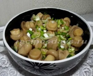 Шашлик з курячих стегон, рецепти дня (страви з м'яса) Шашлик з курячих стегон, рецепти дня