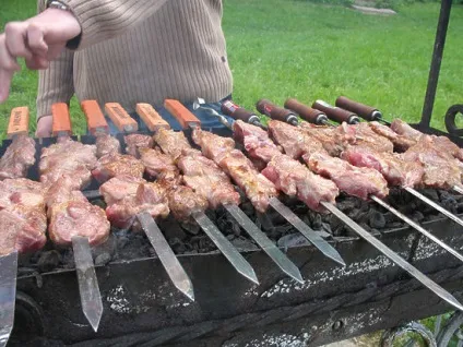 Шашлик для чайників як приготувати його за годину - суспільство, шашлики і пікніки (москва) Шашлик для чайників як приготувати його за годину - суспільство, шашлики і пікніки