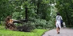 Синоптики попередили мнс про ураган ще в суботу (урагані) Синоптики попередили мнс про ураган ще в суботу