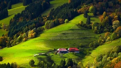 Шварцвальд (schwarzwald) в германии фото, опис чорного лісу, карта, що подивитися (германии) Шварцвальд (schwarzwald) в германии фото, опис чорного лісу, карта, що подивитися