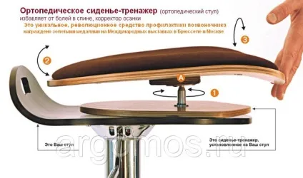 Сидіння-тренажер - спина ок - (економ) - арго Торез Голікова світла (спина) Сидіння-тренажер - спина ок - (економ) - арго Торез Голікова світла