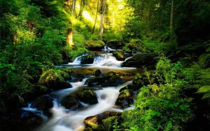 Шварцвальд (schwarzwald) в германии фото, опис чорного лісу, карта, що подивитися (schwarzwald) Шварцвальд (schwarzwald) в германии фото, опис чорного лісу, карта, що подивитися