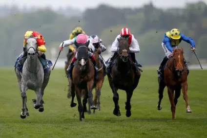 Скачки royal ascot цікаві факти про щорічному заході, герої tatler, tatler - журнал про (royal) Скачки royal ascot цікаві факти про щорічному заході, герої tatler, tatler - журнал про