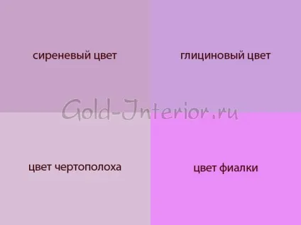 Бузковий колір надає м'якість і поетичність інтер'єру