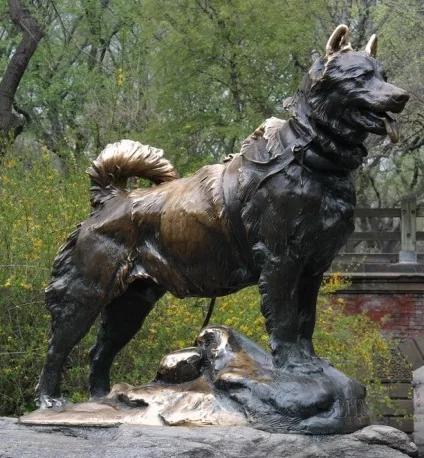 Сибірські хаскі (історія і характеристика породи, 33 фото) (породи) Сибірські хаскі (історія і характеристика породи, 33 фото)
