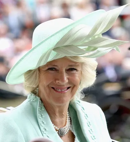 Скачки royal ascot цікаві факти про щорічному заході, герої tatler, tatler - журнал про (скачки) Скачки royal ascot цікаві факти про щорічному заході, герої tatler, tatler - журнал про