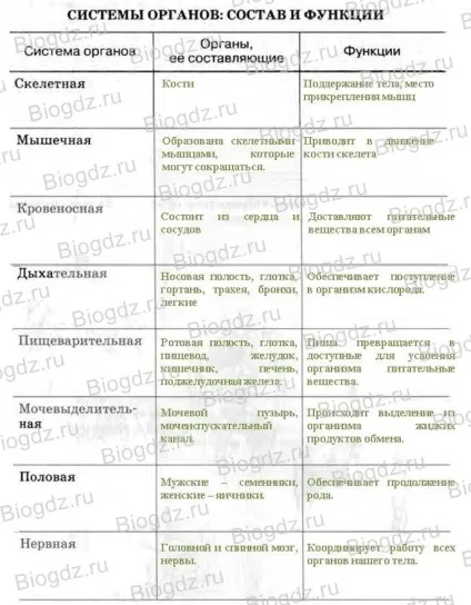 системи органів