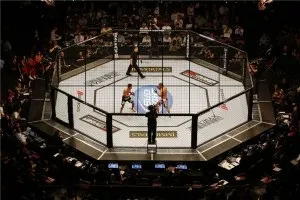 Змішані бої mma, спорт і здоров'я (спорт) Змішані бої mma, спорт і здоров'я