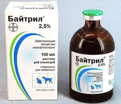 Зміст бройлерів в домашніх умовах і клітинах (домашніх) Зміст бройлерів в домашніх умовах і клітинах