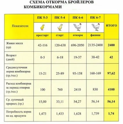 Зміст бройлерів в домашніх умовах і клітинах (утриманні бройлерів клітинах) Зміст бройлерів в домашніх умовах і клітинах
