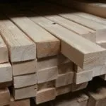 Сосна звичайна размноженіехвойние (розмноження сосни звичайної) Сосна звичайна размноженіехвойние