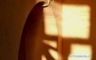 Сонник тінь, тлумачення сну тінь, до чого сниться і що означає сон, в якому наснилося тінь (чого) Сонник тінь, тлумачення сну тінь, до чого сниться і що означає сон, в якому наснилося тінь