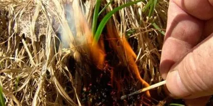 Сонник підпалювати до чого сниться підпалювати уві сні