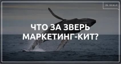 Створення та розробка маркетинг кита ціна, терміни і приклад (створення) Створення та розробка маркетинг кита ціна, терміни і приклад