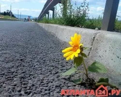 Способи укладання тротуарної плитки (укладання тротуарної плитки) Способи укладання тротуарної плитки