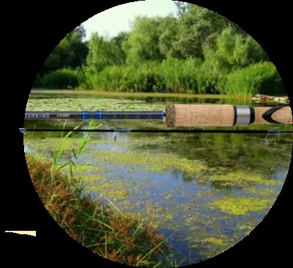 Спінінг шимано - тести та огляди вудилищ, відео демонстрація (спінінг) Спінінг шимано - тести та огляди вудилищ, відео демонстрація