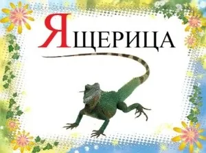Вірші про букву я, дитячі віршики на букву я, загадки з буквою я для дітей з картинками, казковий (загадки) Вірші про букву я, дитячі віршики на букву я, загадки з буквою я для дітей з картинками, казковий