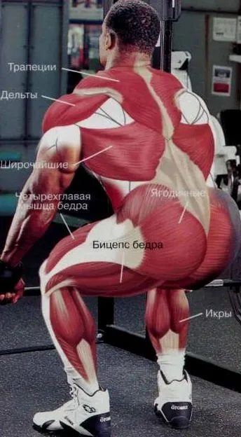 Станова тяга все сім варіантів!
