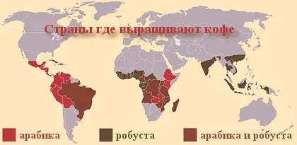 країни кави