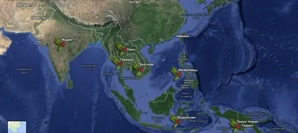 Країни виробники кави в світі, coffeemap (світові виробники кави) Країни виробники кави в світі, coffeemap