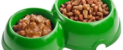 Сухий корм для кішок кет чау (cat chow) від фірми purina склад, відгуки (chow) Сухий корм для кішок кет чау (cat chow) від фірми purina склад, відгуки