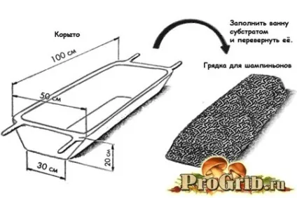 Субстрат для печериць правила приготування і формування (приготування) Субстрат для печериць правила приготування і формування