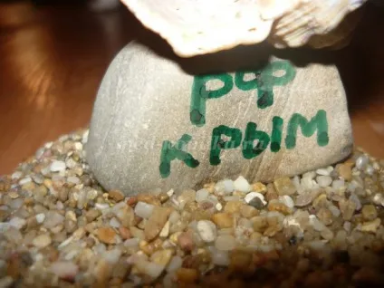 Сувенір з черепашок