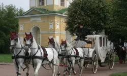 Весільна карета кортеж, гідний вінценосних осіб (кортеж) Весільна карета кортеж, гідний вінценосних осіб
