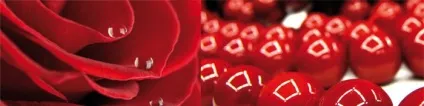 Весільний Біла Церква - розамелія неймовірна, поради від флористів, квіти, майстерня настрою (неймовірна) Весільний Біла Церква - розамелія неймовірна, поради від флористів, квіти, майстерня настрою