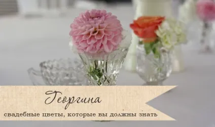 Весільний букет з жоржин (жоржин) Весільний букет з жоржин