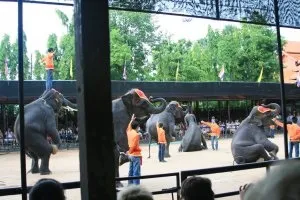 Таїланд - тропічний парк Нонг Нуч в Паттайя, сад мадам Нонг Нуч, фото, відео, відгуки, карта