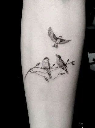 Тату птиці - значення, стилі вираження маленькими птахами - tattoo today (щіглікі) Тату птиці - значення, стилі вираження маленькими птахами - tattoo today