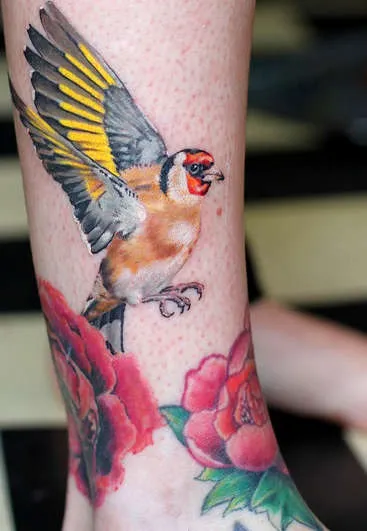 Тату птиці - значення, стилі вираження маленькими птахами - tattoo today (птиці) Тату птиці - значення, стилі вираження маленькими птахами - tattoo today
