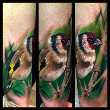 Тату птиці - значення, стилі вираження маленькими птахами - tattoo today (синиця) Тату птиці - значення, стилі вираження маленькими птахами - tattoo today