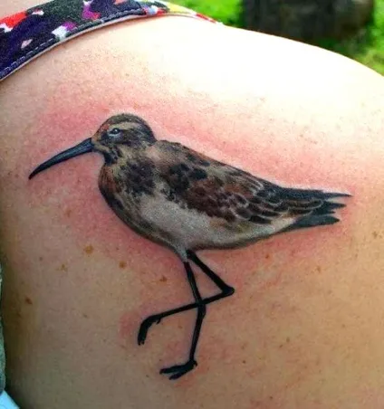 Тату птиці - значення, стилі вираження маленькими птахами - tattoo today (горобець) Тату птиці - значення, стилі вираження маленькими птахами - tattoo today