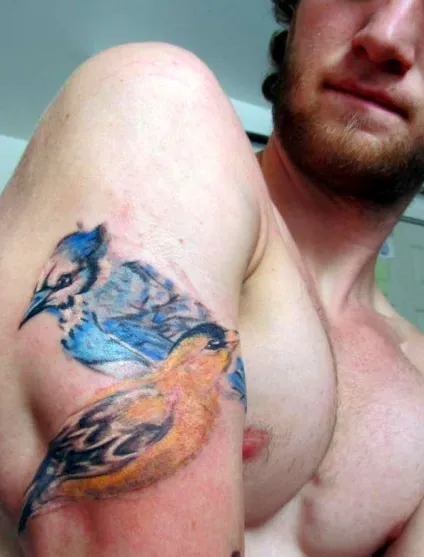 Тату птиці - значення, стилі вираження маленькими птахами - tattoo today (зяблик) Тату птиці - значення, стилі вираження маленькими птахами - tattoo today