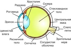 Темні плями на очному яблуці (пляма очному яблуці) Темні плями на очному яблуці