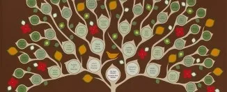 Тест на красу зовнішності (зовнішності) Тест на красу зовнішності