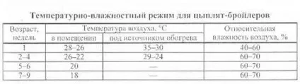 Температурний режим для бройлерів різного віку, відео та фото (бройлерів) Температурний режим для бройлерів різного віку, відео та фото