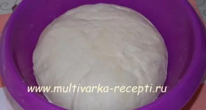 Тісто на сироватці для пиріжків, пирогів і іншої випічки (тісто для пиріжків на сироватці) Тісто на сироватці для пиріжків, пирогів і іншої випічки
