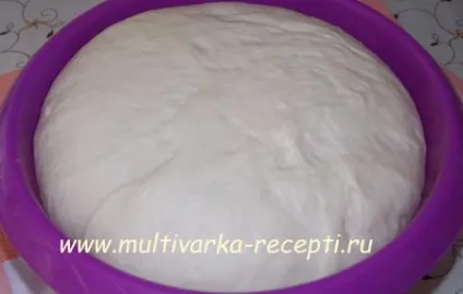 Тісто на сироватці для пиріжків, пирогів і іншої випічки (тісто для пиріжків на сироватці) Тісто на сироватці для пиріжків, пирогів і іншої випічки