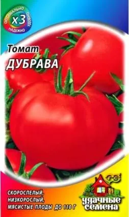 Томат діброва опис сорту з фото, відгуки вирощування і догляд (вирощування) Томат діброва опис сорту з фото, відгуки вирощування і догляд