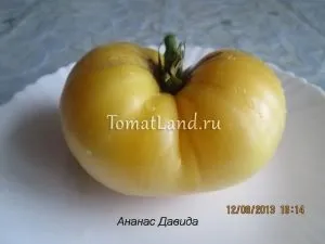 Томати великоплідні для теплиць
