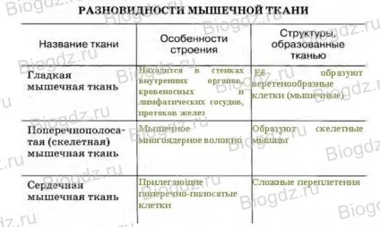 Тканини і органи