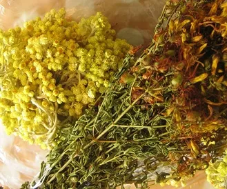 Трав'яні збори для печінки який склад ефективніше (печінки) Трав'яні збори для печінки який склад ефективніше