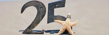 Традиції срібного весілля що необхідно знати (весілля) Традиції срібного весілля що необхідно знати