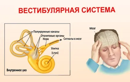 Нудота, запаморочення при підвищеному тиску що робити, причини і лікування (тиску) Нудота, запаморочення при підвищеному тиску що робити, причини і лікування